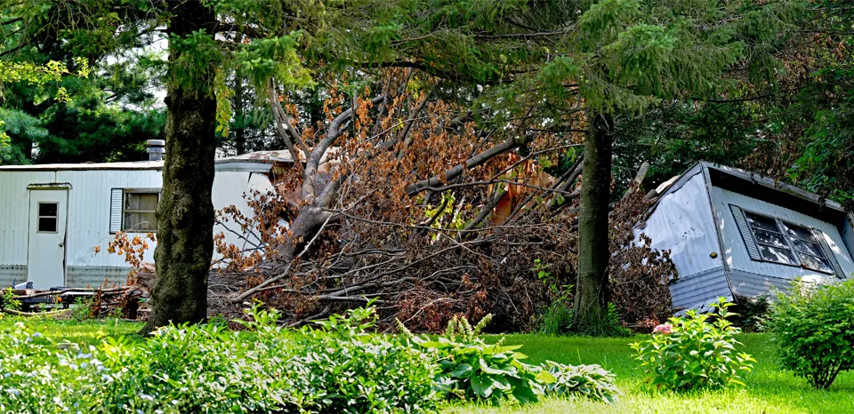 Mobile Home Insurance covers you against damage like fallen trees.